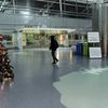 War On Christmas: Nativity Removed From SI Ferry Terminal